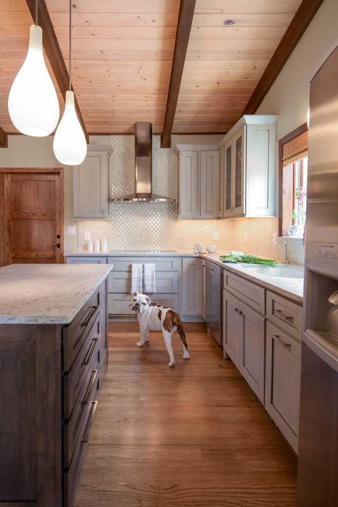 Laura Medicus Eclectic Kitchen Bulldog