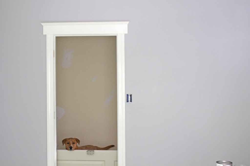 upgrading your door trim