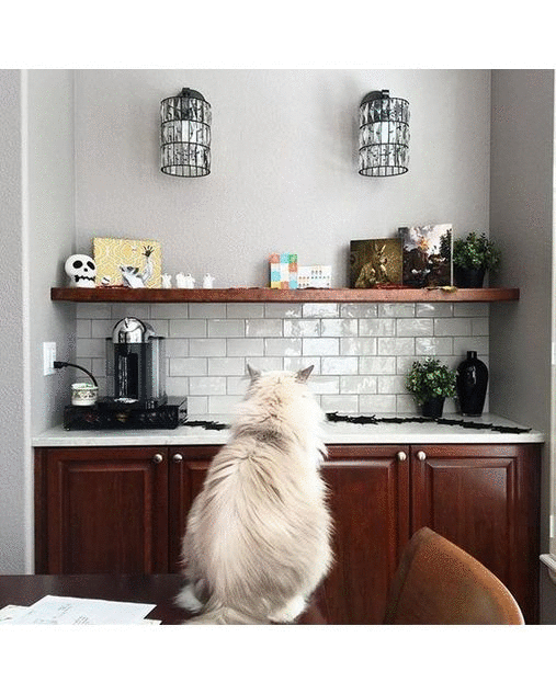 www-gifcreator-me_8s0k4c