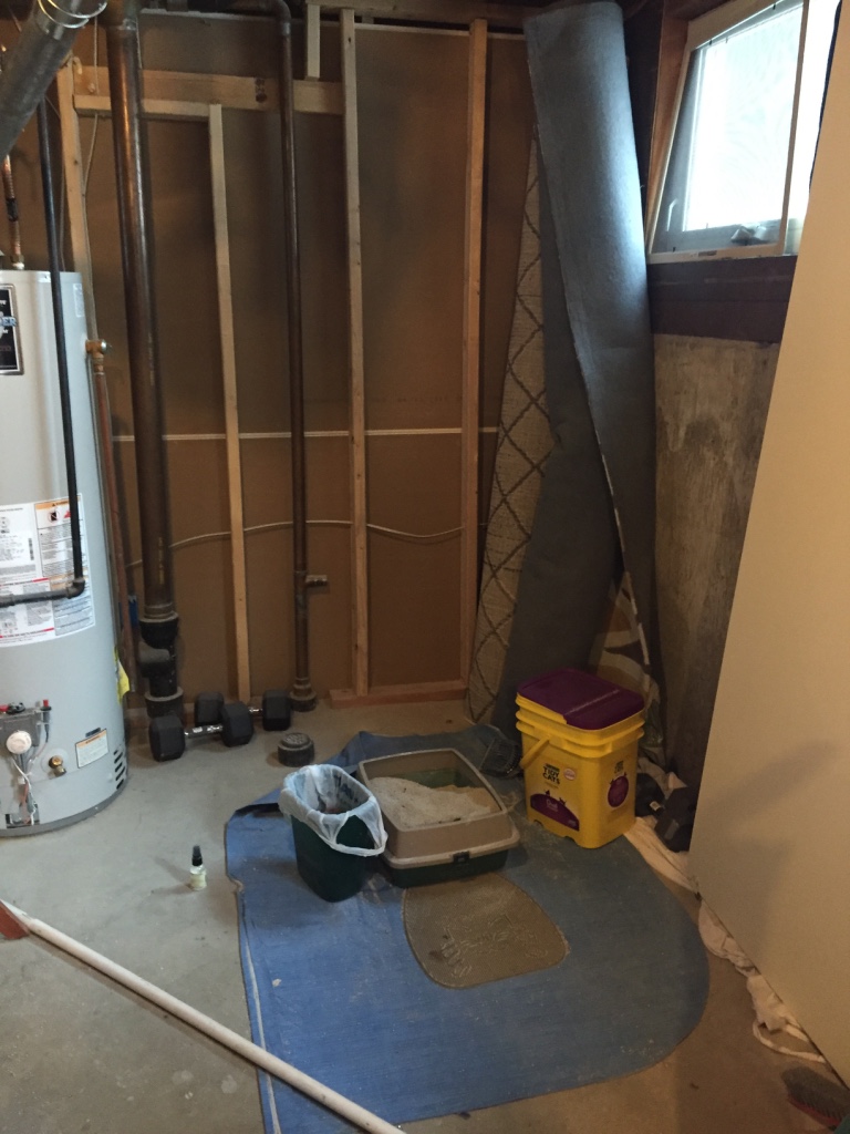 basment-bathroom-remodel