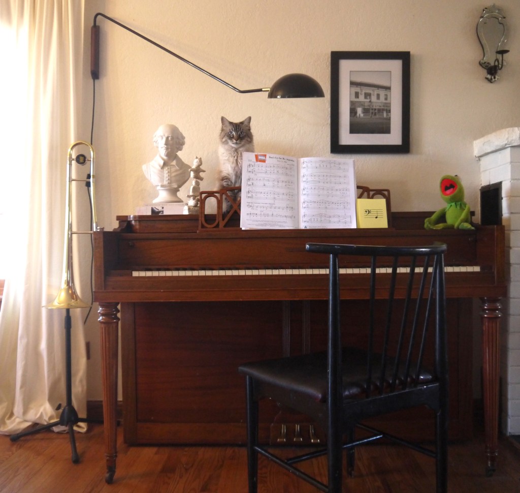 piano-chair-cat