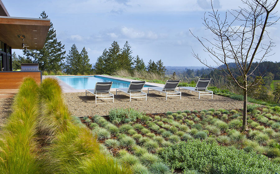 modern landscape pool area