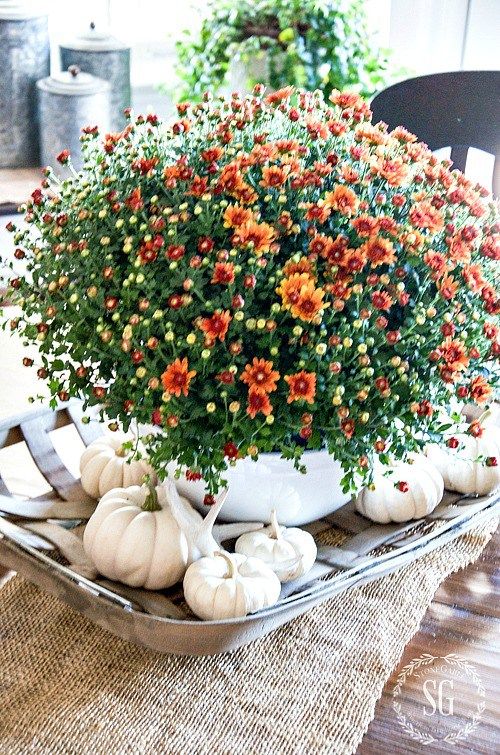 Fall Decorating: Keep it Simple and Go Easy on the Hay Bales – The ...