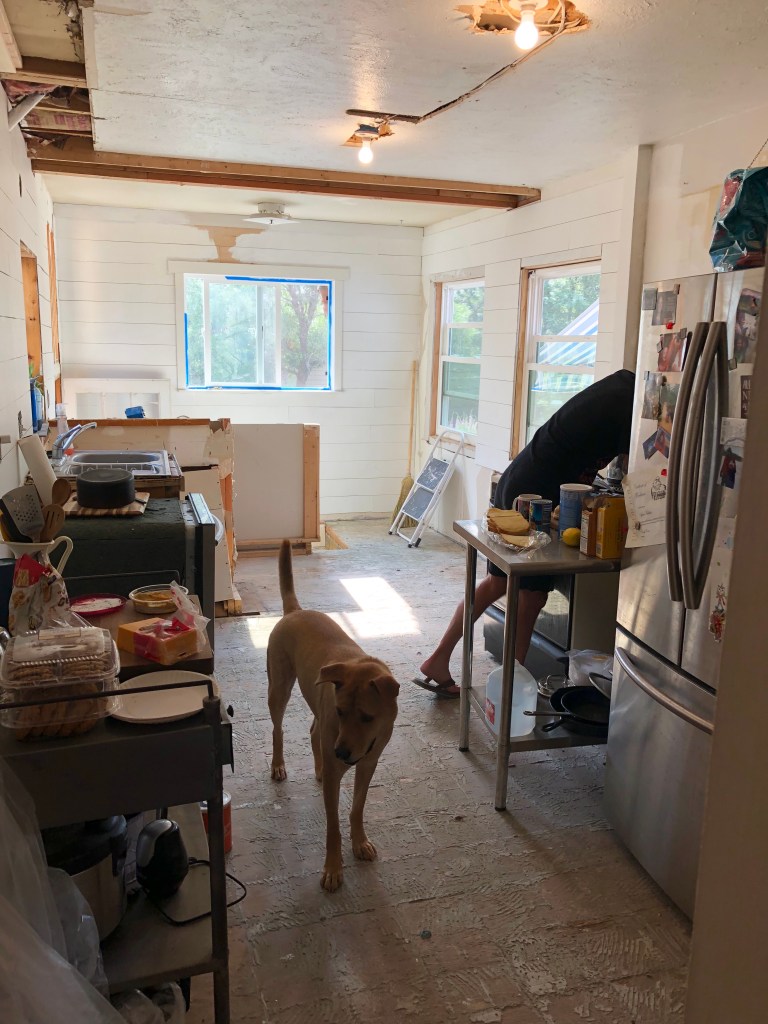 during kitchen remodel