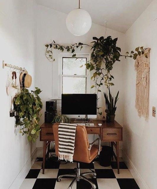 plants in small office